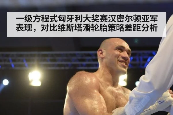 一级方程式匈牙利大奖赛汉密尔顿亚军表现,对比维斯塔潘轮胎策略差距分析